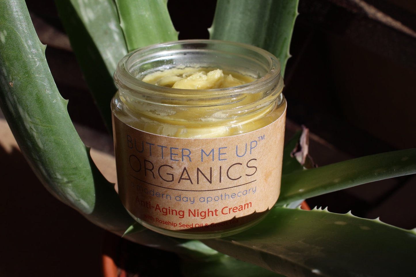 Organic Anti-Aging Night Cream with Green Tea – 2 oz