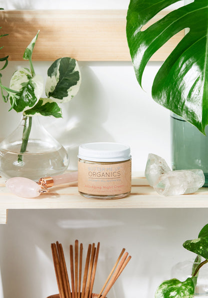 Organic Anti-Aging Night Cream with Green Tea – 2 oz