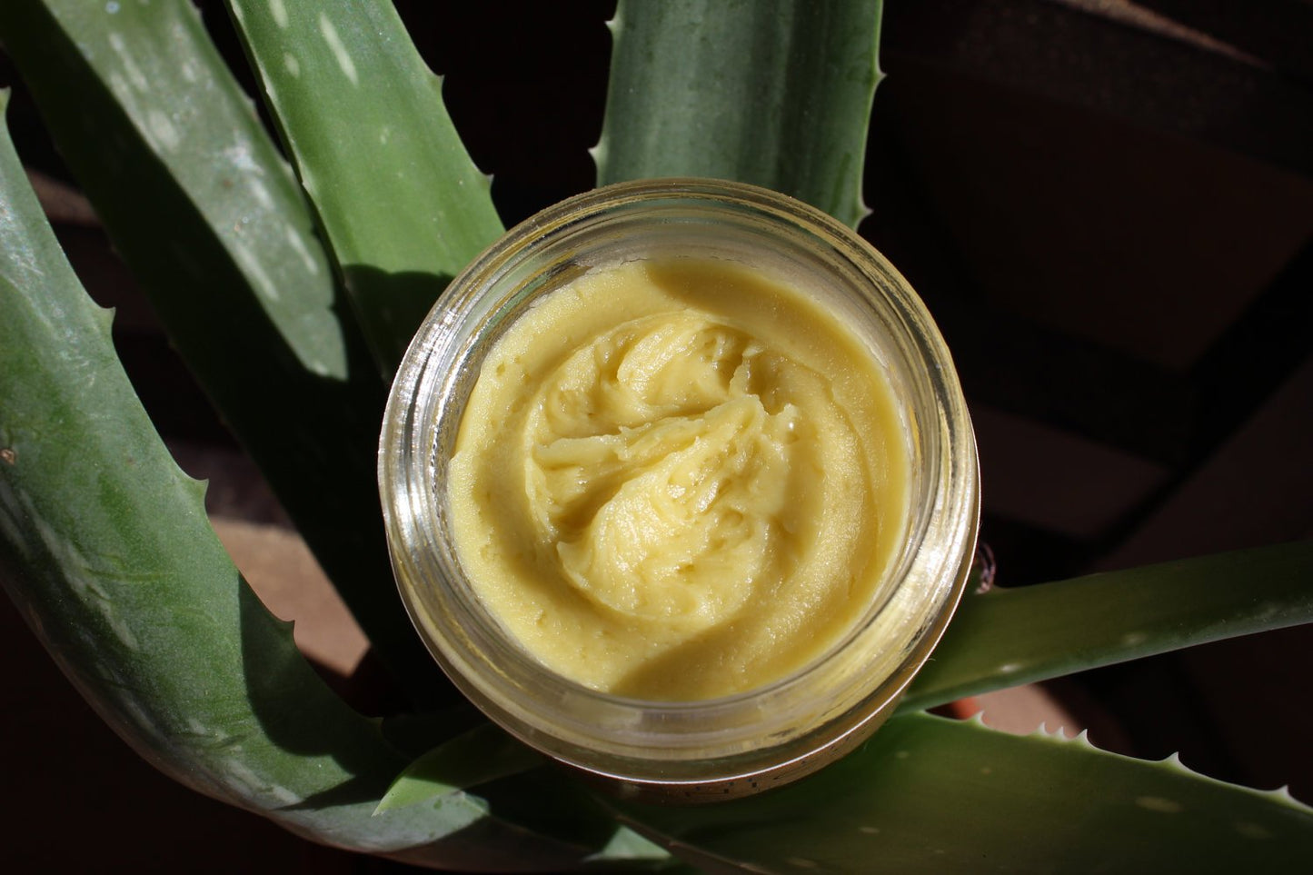 Organic Anti-Aging Night Cream with Green Tea – 2 oz