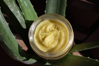 Organic Anti-Aging Night Cream with Green Tea – 2 oz