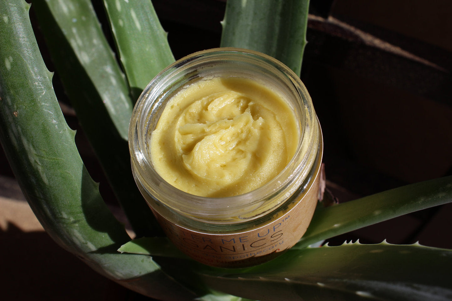 Organic Anti-Aging Night Cream with Green Tea – 2 oz