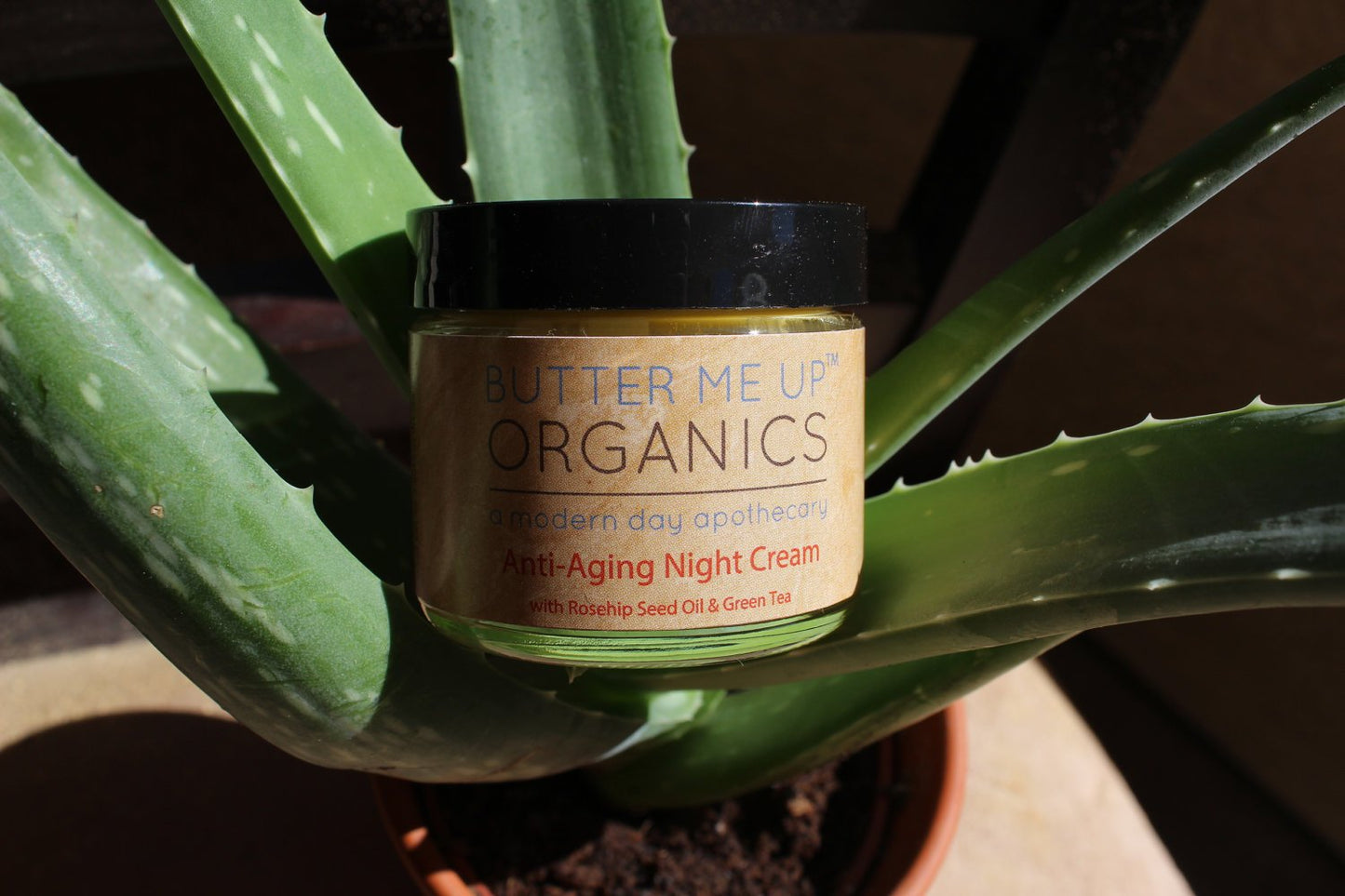 Organic Anti-Aging Night Cream with Green Tea – 2 oz